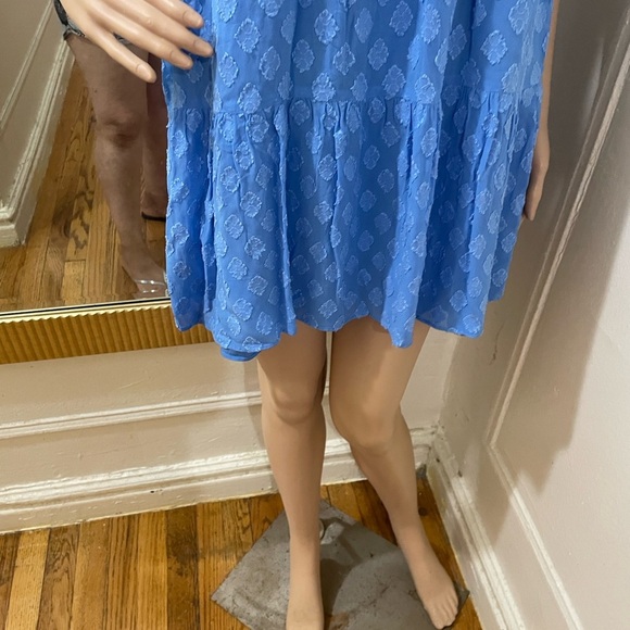 Lilly Pulitzer Blue Mini Dress with Ruffle Sleeves - Picture 9 of 13